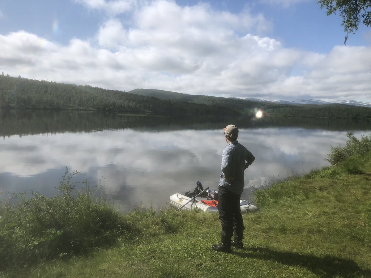 karin_a_nilsson's tweet photo. Sticks and trout. A great start to Linus’s project on Arctic charr and Brown trout in Hemavan-Tärnaby https://t.co/1ZxjffwhpC