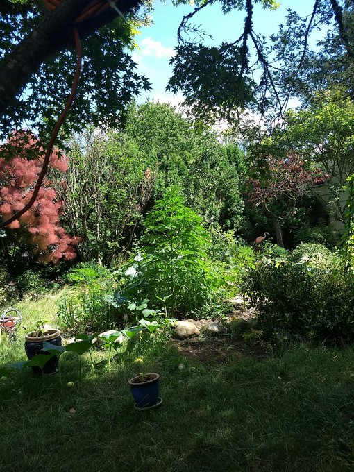 it is so pretty out that I might have an Oregon-asm 😮😚😛 https://t.co/grujJMEHQi<a href="/tag/newprofilepic"class="tags"><span>#newprofilepic</span></a>