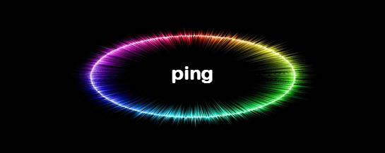 Chef Lily Warren tweet media