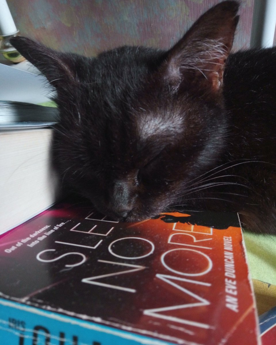 slpyhdmnstr's tweet photo. Sleep No More or Sleep More?

#blackcat #cat #mystery #book #sleepnomore #irisjohansen #eveduncanseries https://t.co/MXKMc7Se4R
