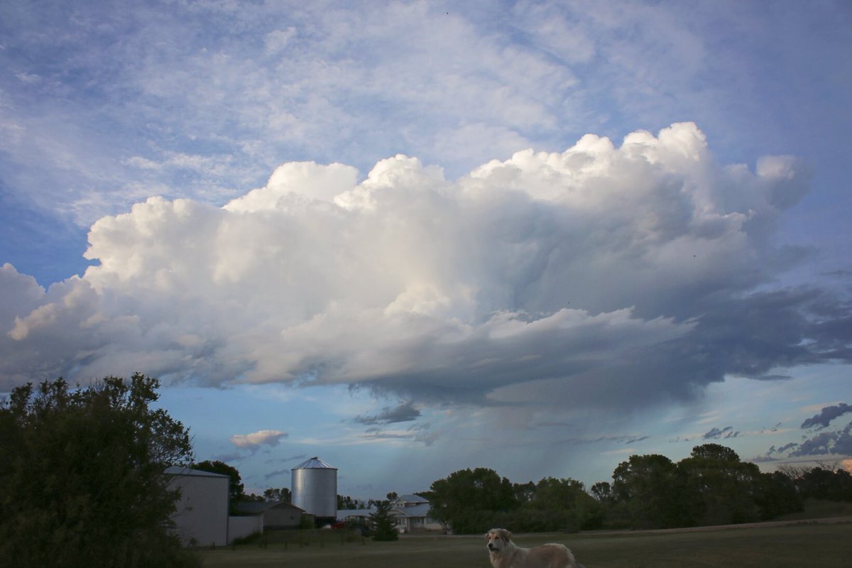 melanie_m37's tweet photo. Above our farm and down the road. #SKstorm #skstorm #summer #PrairieStorm #farmlife https://t.co/sQlSHxAGXz