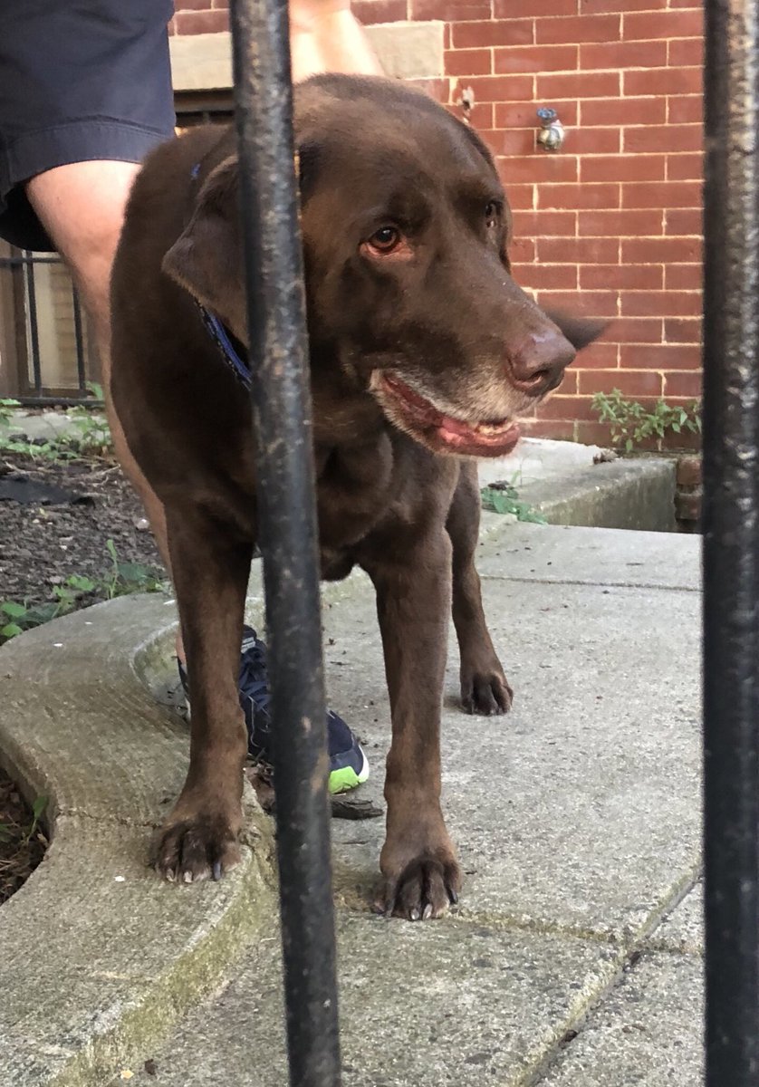 Masterpiece Canine Spa tweet media