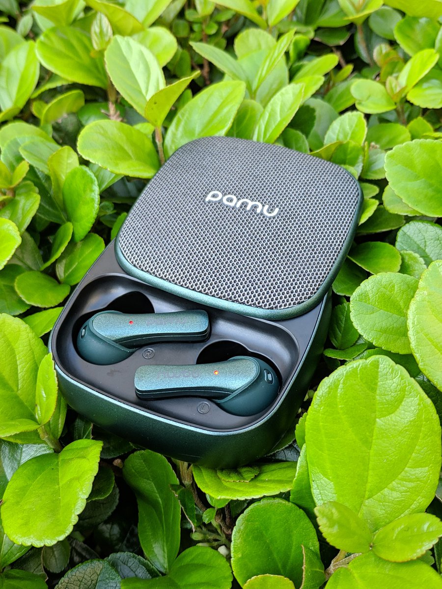 rikrdo_sn's tweet image. #pamuslide
#emerald