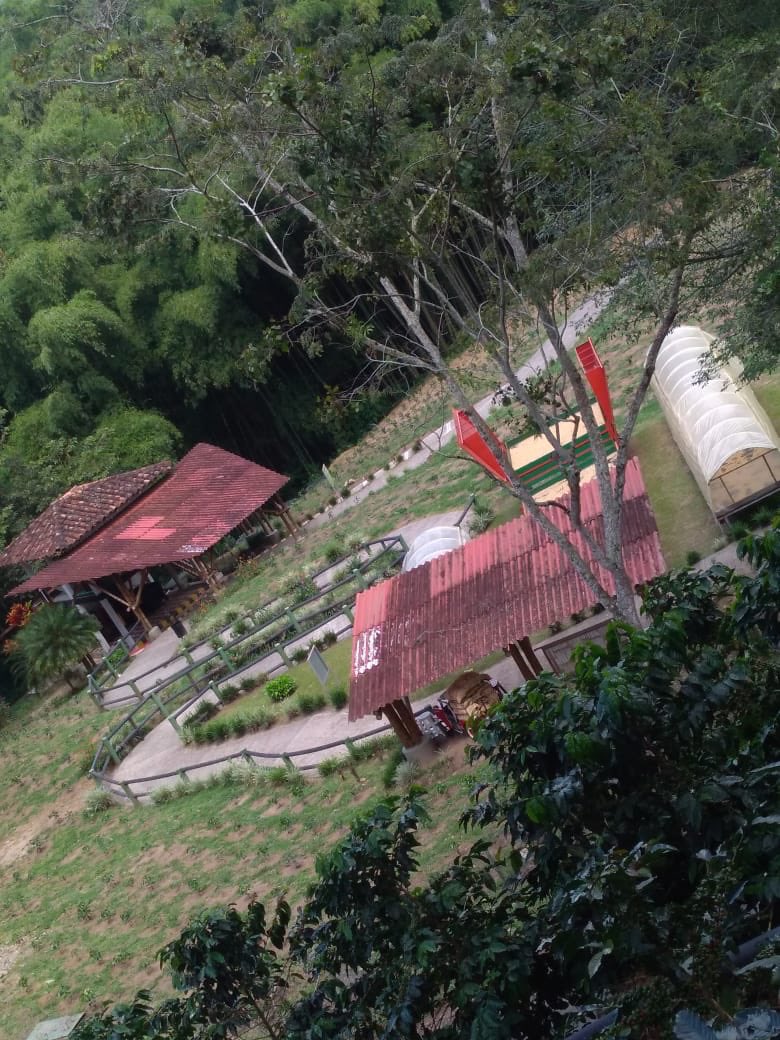 El <a href="/Parcafeoficial/">ParquedelCaféOficial</a> fomenta la cultura cafetera, resulta paradójico que las estaciones menos visitadas sean las que enseñan sobre el proceso de producción de café
