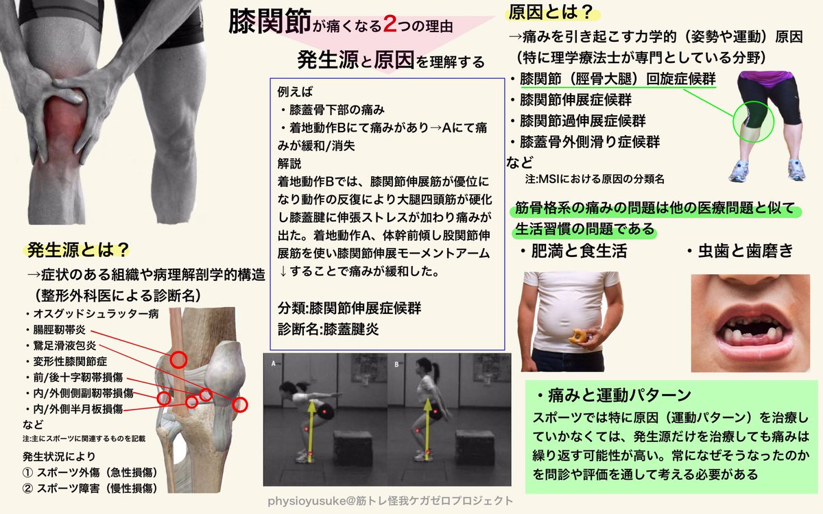 膝関節外科学 The Knee 膝関節外科学 The Knee 膝関節外科学 The Knee 膝関節外科学【