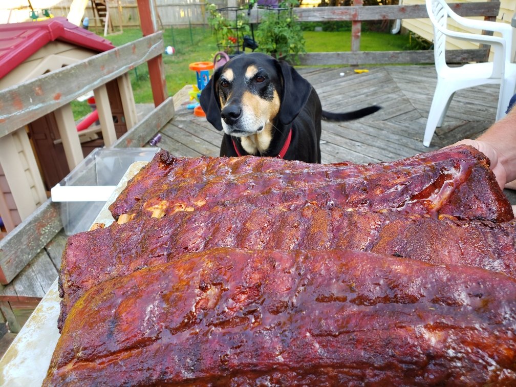 BGCturfgrass's tweet photo. Baby back/spare ribs on the @rectecgrills with @meathead #memphisdust for the win tonight. #ridiculous #cooperapproves https://t.co/QlZJ8HFkSd