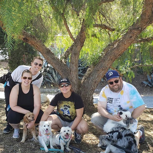 PawsitiveMel's tweet photo. Awesome hike today with our Off The Leash class! https://t.co/lPNeyHDXKb https://t.co/XGHiLMK3Jw