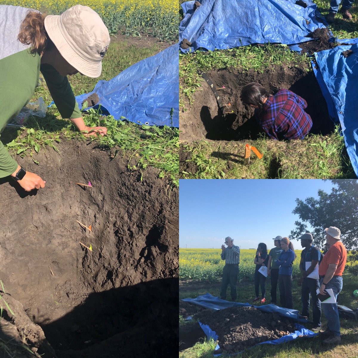 SoilsLab's tweet photo. Vertisols. Ya don’t see that in #NovaScotia #CSSS2019 https://t.co/6qUUyULm2y