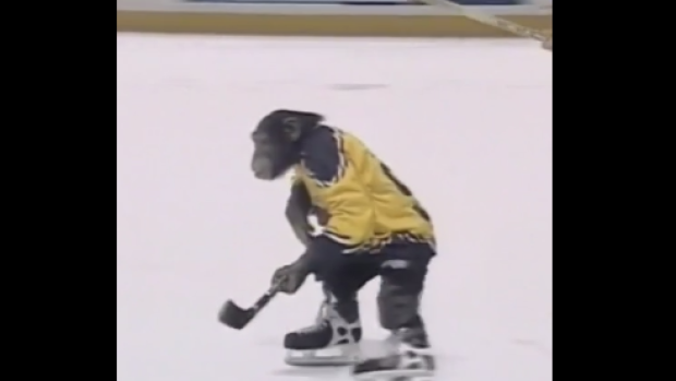 Remembering Jack the Chimpanzee's elite skating stride. WATCH @ bardown.com/remembering-ja…