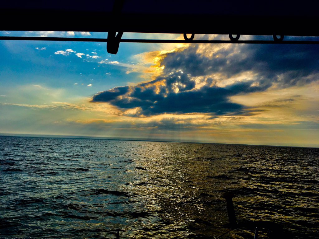 Colleen Feeny tweet media