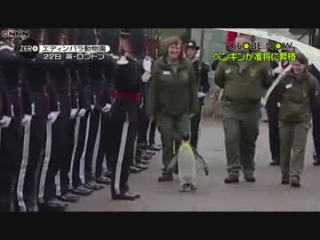 清新明朗な加賀内閣 艦娘の御真影に捧げ銃する以上のシュールなことがあるか T Co Zpcjddh1mq Twitter