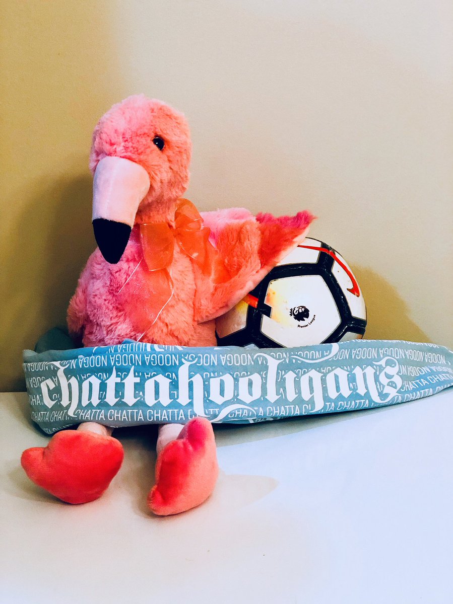 WillRivard2's tweet photo. Big night we are going #FullMingo expecting @ChattanoogaFC to win some silverware tonight & @ForwardMSNFC to hand those toothless Red Wolves a beating at Breese Stevens #FortFinley #Naturday https://t.co/3lz2YGpHhh