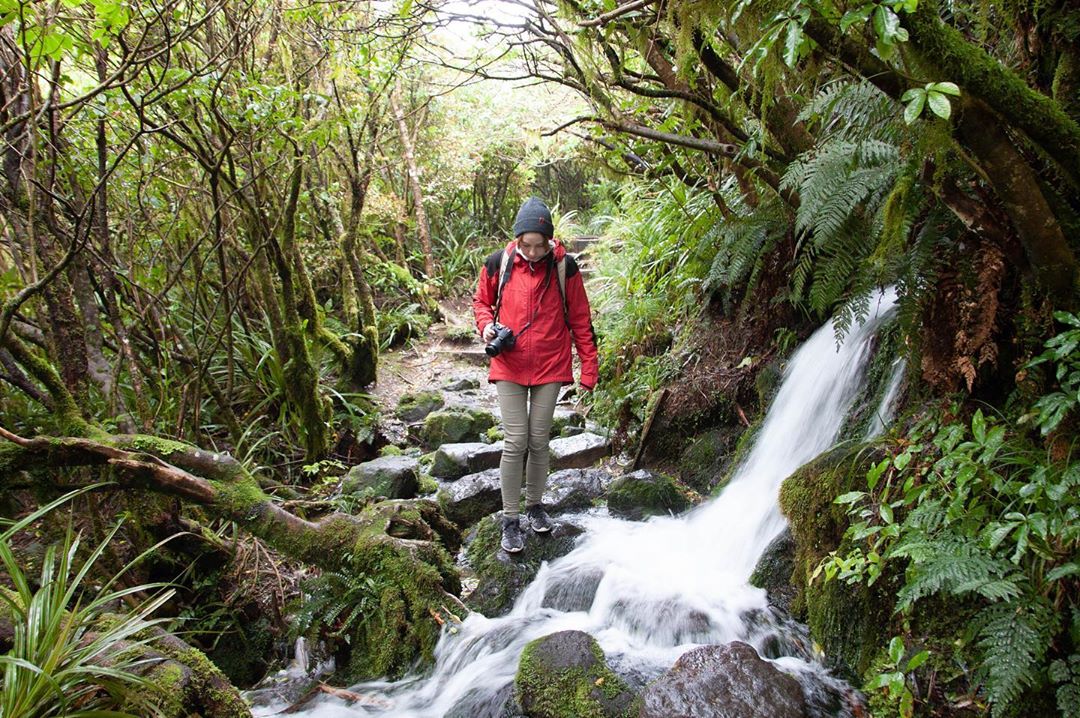 WildTaranaki's tweet photo. Its pretty wet and wild outside today💨🌧️! If your planning a trip up Mount Taranaki in 2019 remember to check out our blogs for information like when's the best time of the year to climb.
#wildtaranaki #taranaki #mounttaranaki #newzealand #travel

https://t.co/VcqJmyWIuH https://t.co/pUwDq47ihw