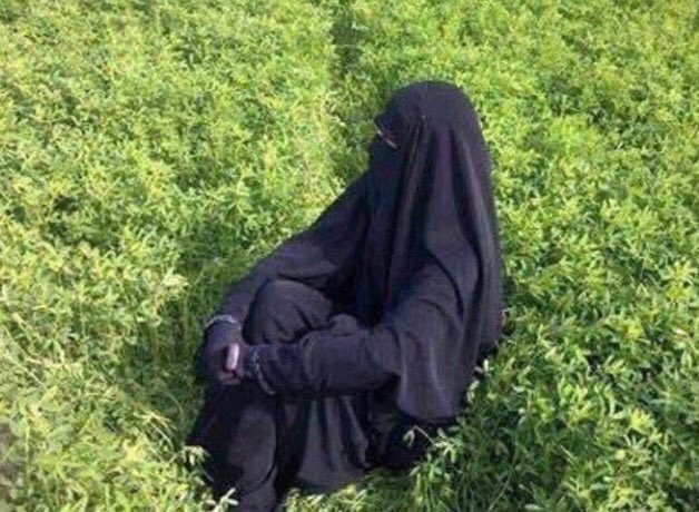 NsPxon's tweet photo. #كيف_تقضي_اجازتك

ف ربوع بلادي بين السهول والتلال https://t.co/u0NHWLyy5E