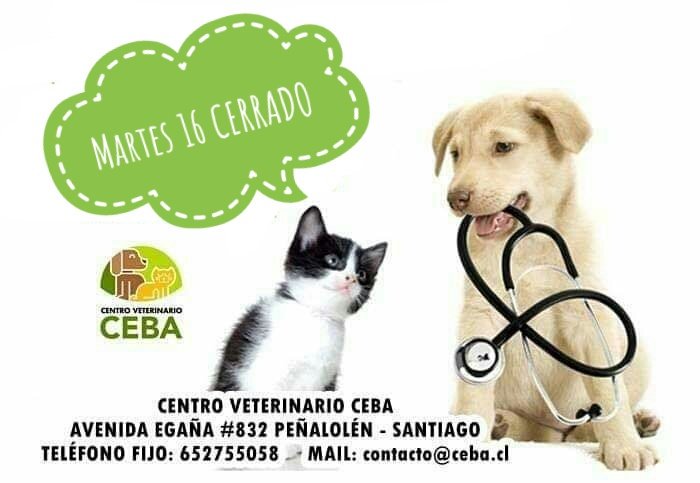VetCeba's tweet photo. Le recordamos a nuestros queridos Clientes que el LUNES 15 atendemos con normalidad. 
Sin embargo el MARTES 16 de Julio estaremos CERRADOS! 
Los esperamos el Lunes y desde el Miércoles a las 10:30 am como siempre! 
Buen fin de semana 
#CentroVeterinarioCeba https://t.co/U9Ejz6ooU1