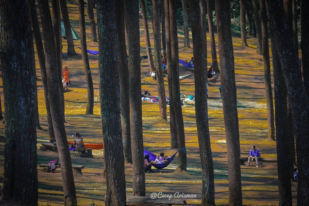 ujungberunginfo's tweet photo. Selamat berakhir pekan kulawargi, jangan lupa berbagi dan saling peduli antar sesama. Sekecil apapun itu
.
📸 : @dor_coy
🌏 : Bumi Perkemahan, Batu Kuda
#HappyWeekend #ujungberung #infoujungberung #batukuda https://t.co/S4XyHdCKnW