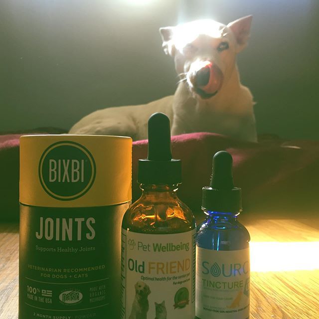 dogonblog's tweet photo. These supplements are really working for me 💯💚 #cbddog #munchies #chillingmode #feelingfuckingawesome https://t.co/hH48cXCNNN https://t.co/D1Skf1IQBV
