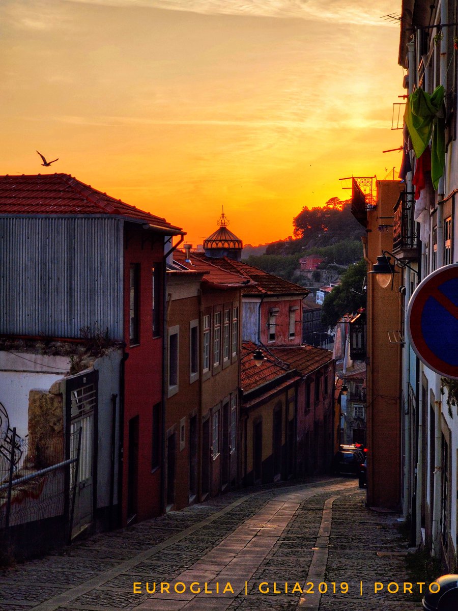 LiddelowSA's tweet photo. The sun has set on #euroglia #glia2019. Many memories of a beautiful city, stunning wine, and some pretty impressive science.
... looking ahead to bigger and better things in Marseille #glia2021 https://t.co/8MJrPjphg2