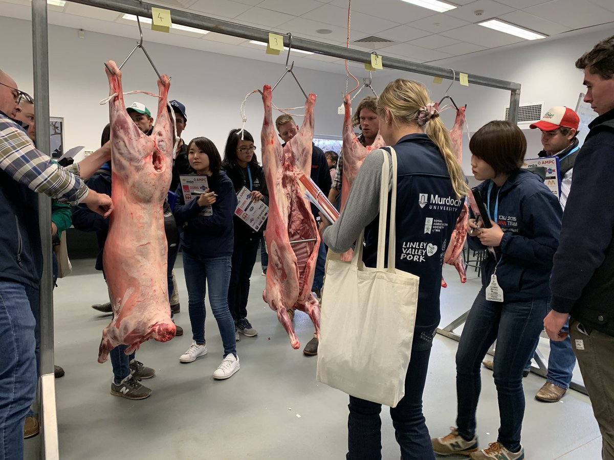 Codee Leiblich (@codeeleiblich) on Twitter photo What an absolute honour the past week has been representing <a href="/UniofAdelaide/">Uni of Adelaide</a> at the Australian Intercollegiate Meat Judging Competiton in Wagga Wagga. We are very proud to have been named the Australian Meat Judging Champions for 2019 for the first time for Adelaide #icmj2019 What an absolute honour the past week has been representing <a href="/UniofAdelaide/">Uni of Adelaide</a> at the Australian Intercollegiate Meat Judging Competiton in Wagga Wagga. We are very proud to have been named the Australian Meat Judging Champions for 2019 for the first time for Adelaide #icmj2019