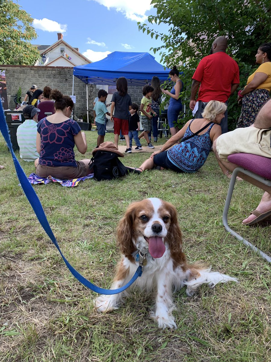 daniilatcerulli's tweet image. Busy day in Boston today: Jamaica Plain Porchfest, JP Licks, and stooping it in Back Bay