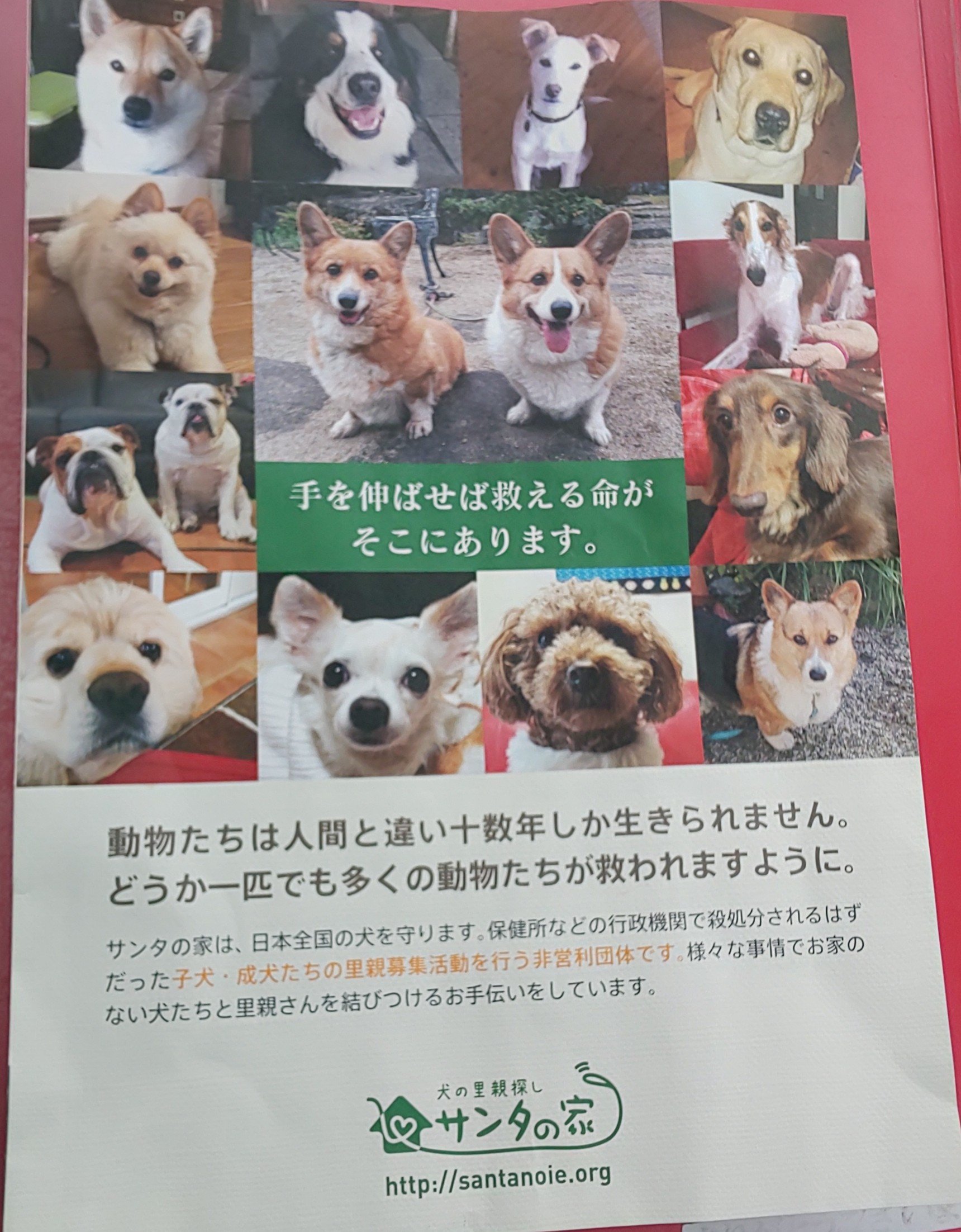 哀変わらず 翔 Aikawarazusyou Twitter