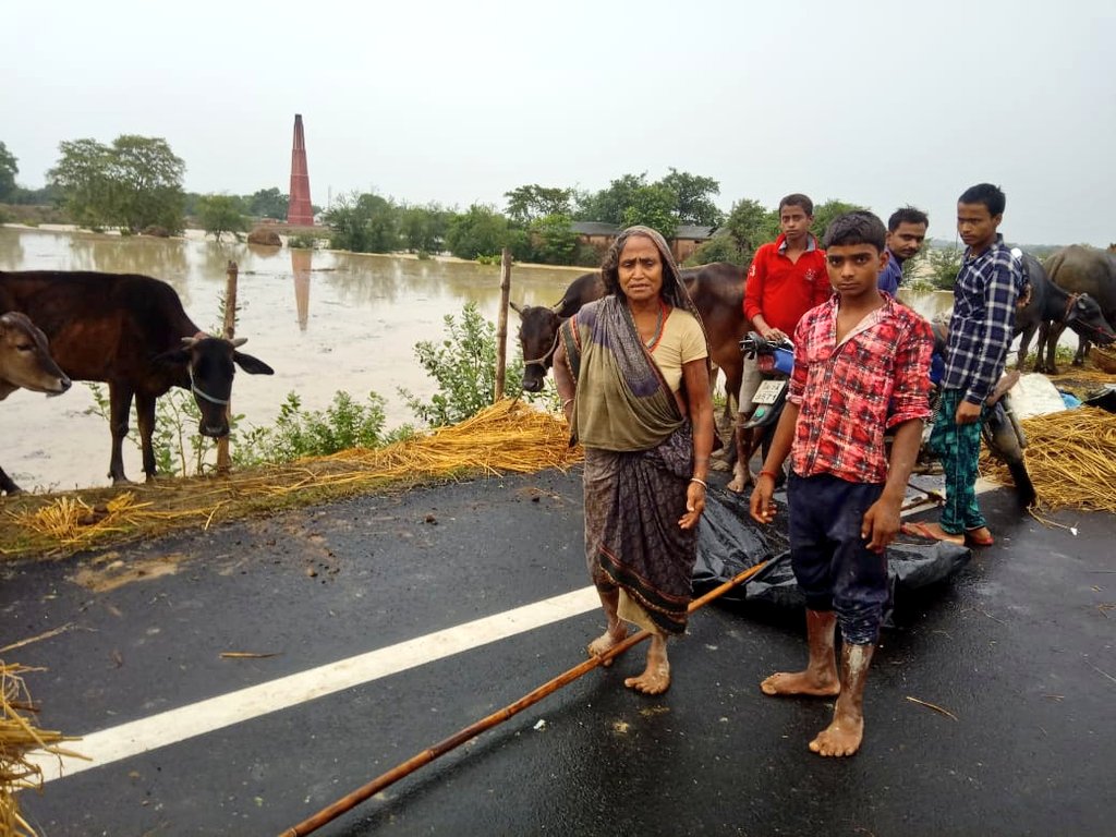 rkdevar's tweet photo. Multiple Breaches of River Kamlabalan overnight and #flooding  have affected population of #Madhubani and #Darbhanga dists of North #Bihar. One consolation is  #GrainBank and #FodderBank concepts of @HelpAgeIndia_ are working.  Stocks will soon deplete🙄 @BsdmaBihar @ndmaindia https://t.co/5NdAffS9Os