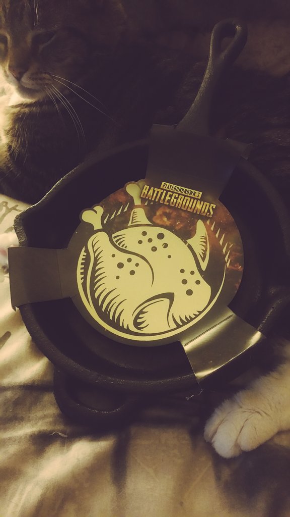 vampybytes's tweet image. Totally forgot I bought this 😆 #thinkgeek #winnerwinnerchickendinner #PUBG