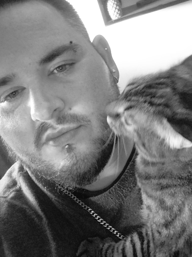 ASAP_Bubba_'s tweet photo. This is my cat Toast aka Tostito she is the best cat I've ever had hands down. As soon as i come home everyday she's right next to me. #LoveMyCat #CatDaddy #Mynx #TailessCat #SheLovesMe #HerFavoriteHuman #Toast https://t.co/DjgYjh1d63