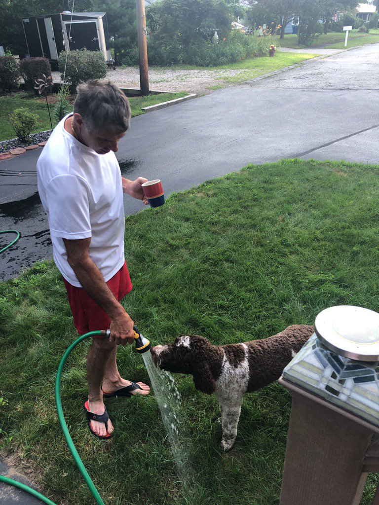 LPS_AMS's tweet photo. Enjoying the dog days of summer! https://t.co/IJXiFZEQVa