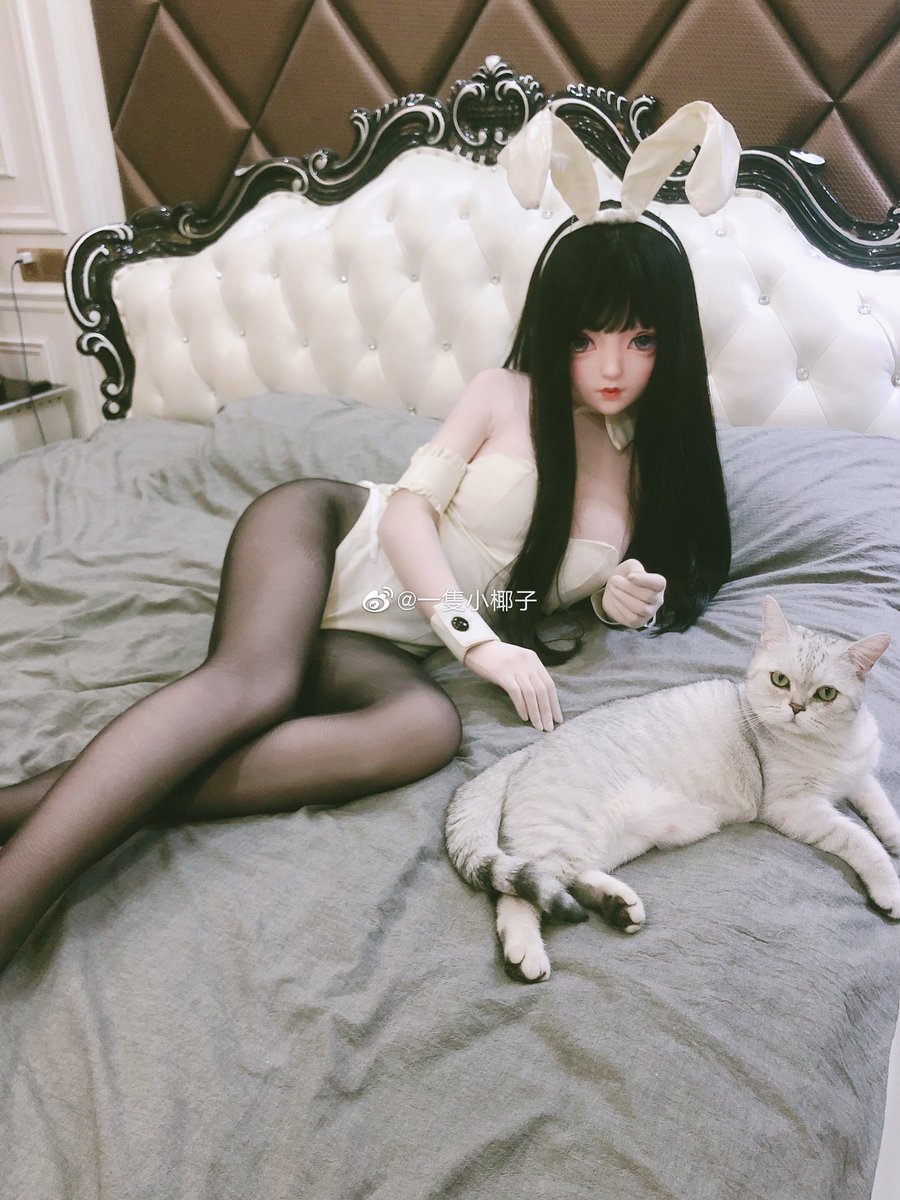 Andromeda Dolls tweet media