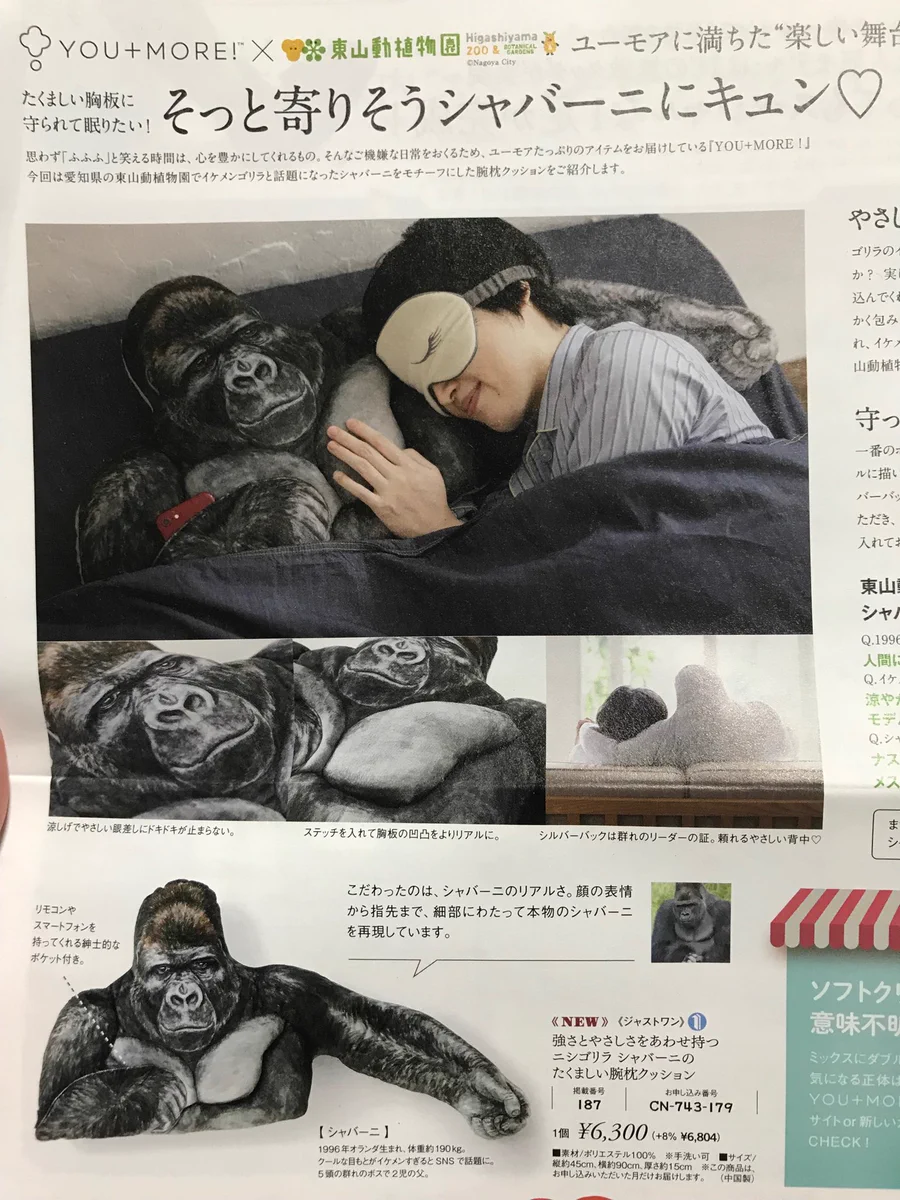 フェリシモがまたやってくれたwwこれであのシャバーニに抱かれながら眠れるww