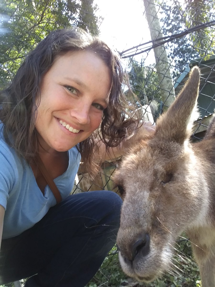 Stephanie Grosko tweet media