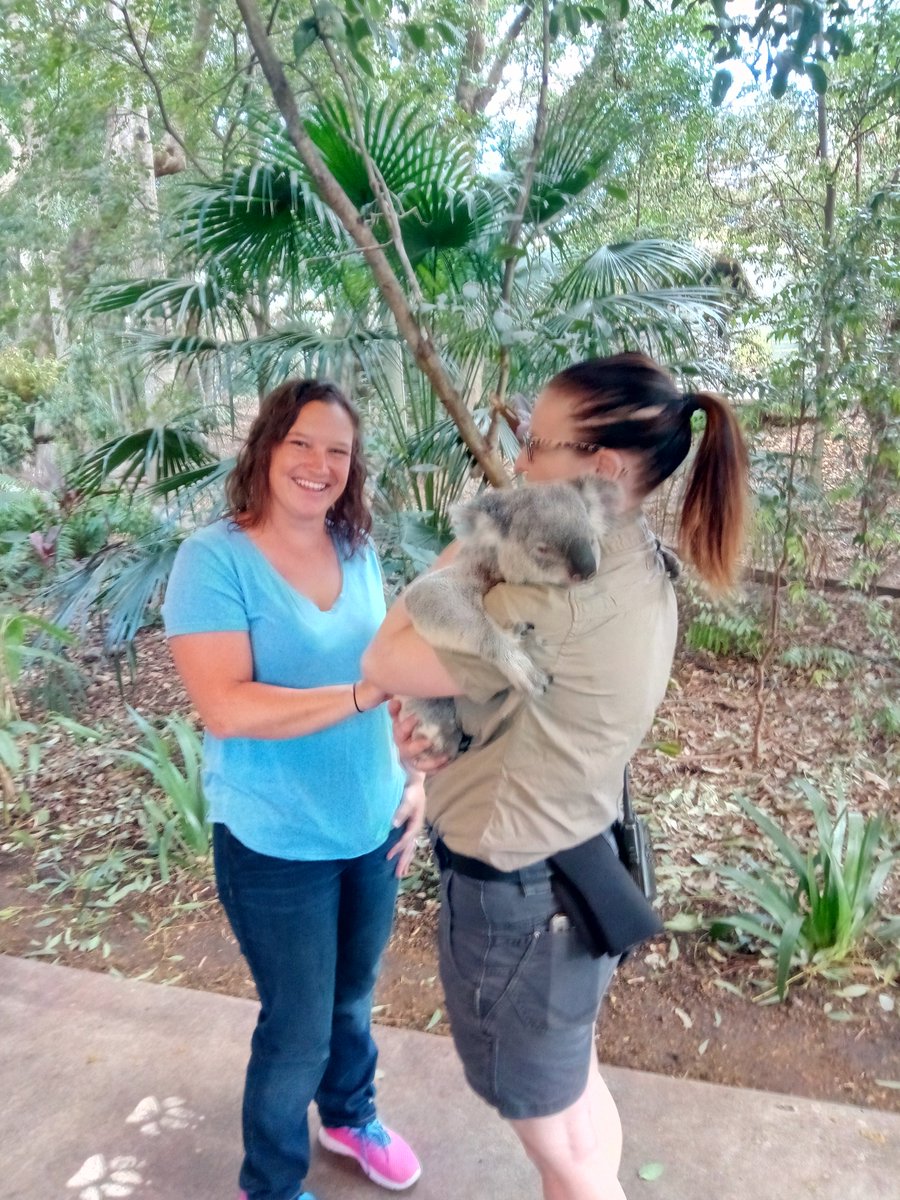 Stephanie Grosko tweet media