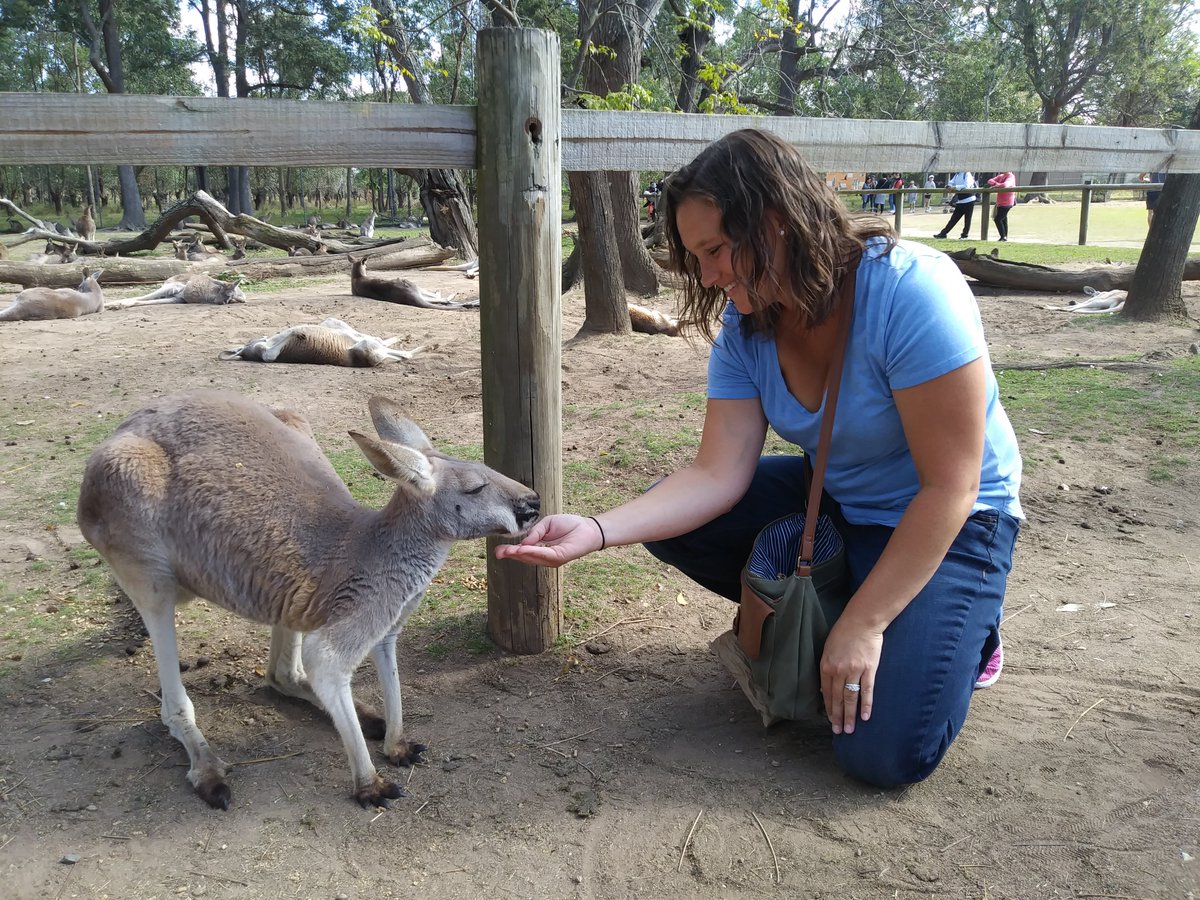 Stephanie Grosko tweet media