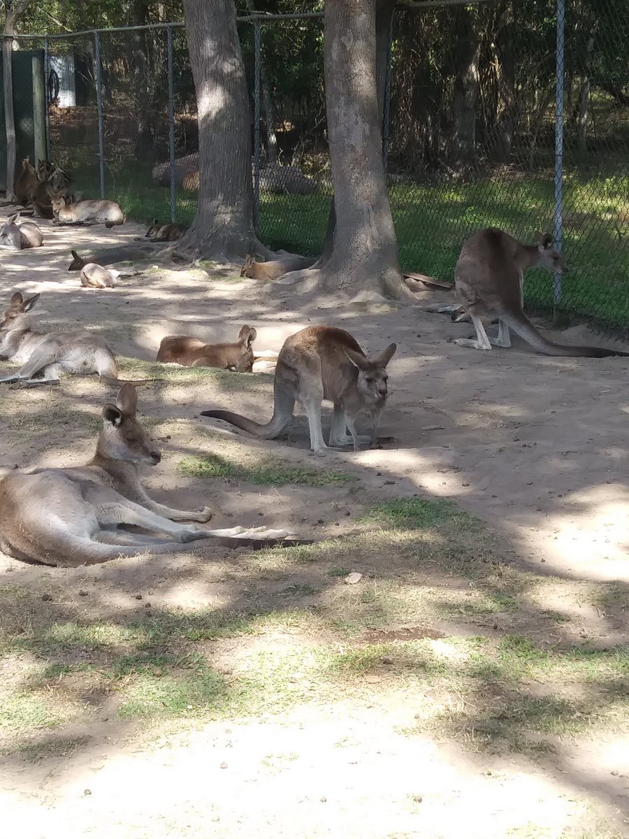 Stephanie Grosko tweet media