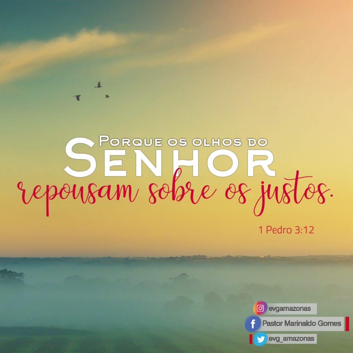 evg_amazonas's tweet photo. O Senhor está sempre com aquele que é justo, portanto, por mais difícil a situação que você está passando, continue firme, Deus está com você!
.
.
#EVGAM
#Universal
#BPAlessandro https://t.co/qHy8UGkfUg