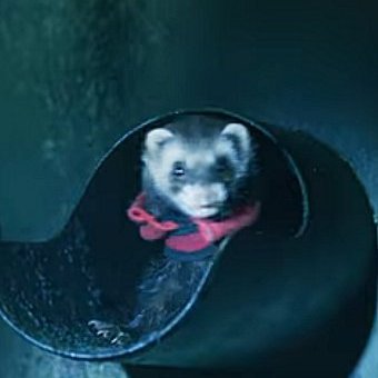 KarenMontiiel's tweet photo. #LaCasaDePapel la única que siguió el protocolo, que no jodió nada. https://t.co/8V0pa6qT63