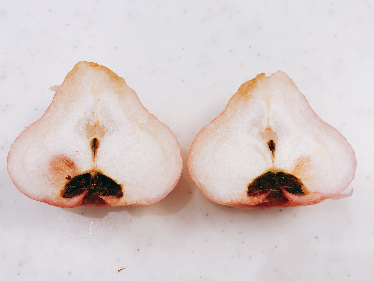 みなとのごちそう野菜 ワックスを塗ったような光沢があるこの果物は レンブ という果物です これは果皮が白っぽいですが 濃い 赤色のものや緑色のものなどもあります 果汁は少なく シャリシャリした食感です 味の薄い梨みたいな味です