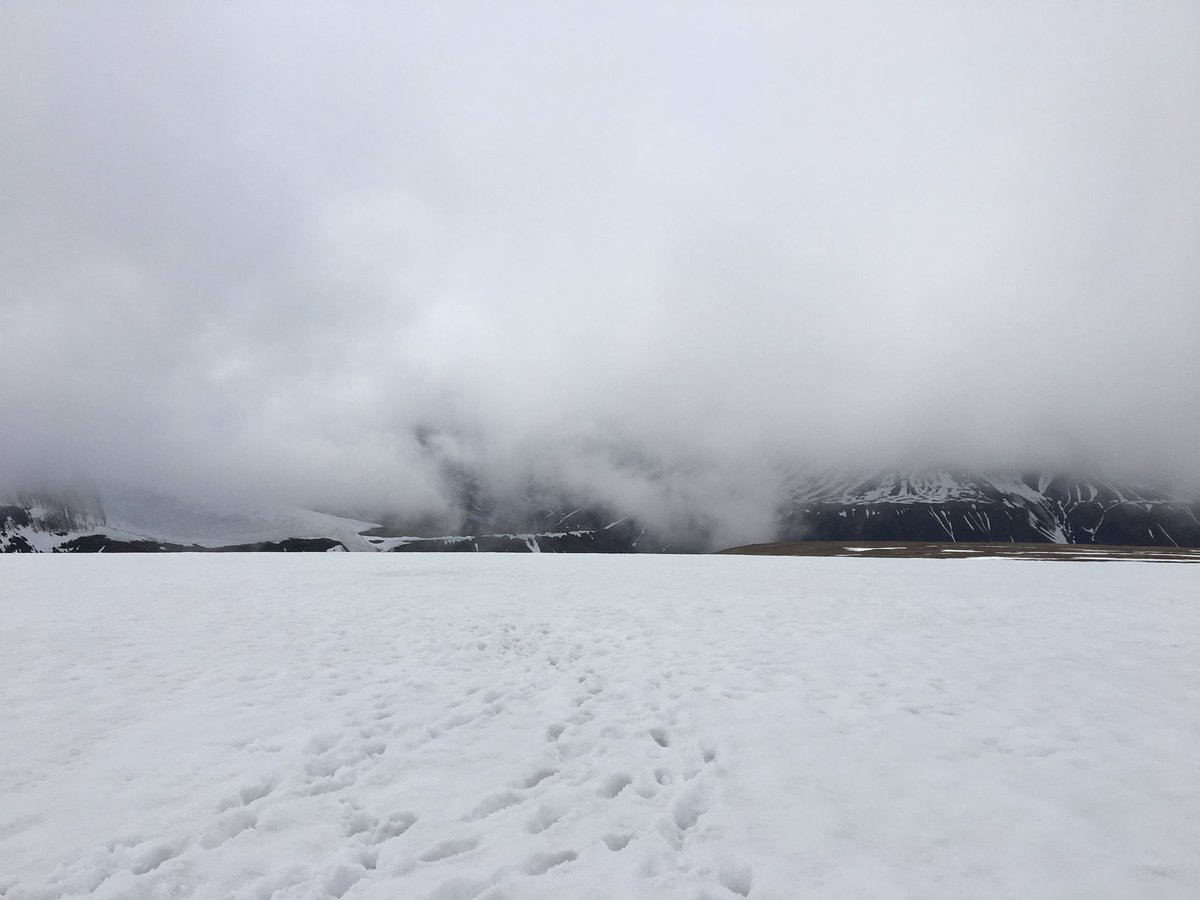 GohdeRonja's tweet photo. Searching for #psychrophiles on  #foxfonna glacier #unisvalbard #AB-827 ❄️ https://t.co/WFQ9Bo67Ov