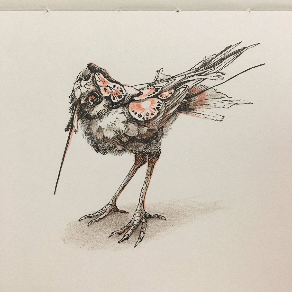 noveala_tw's tweet photo. Bird———
.
.
#bird #sketch #illustration #noveala #taiwan #carandache #um151 #creature https://t.co/lGqLKeYYDs