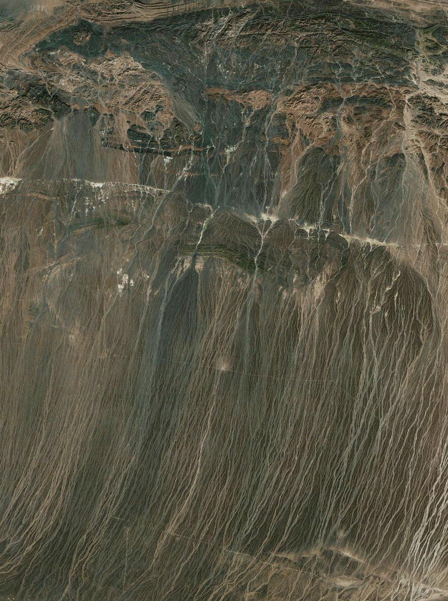 TheAliveEarth's tweet image. 📌    (42.865141, 101.370693)