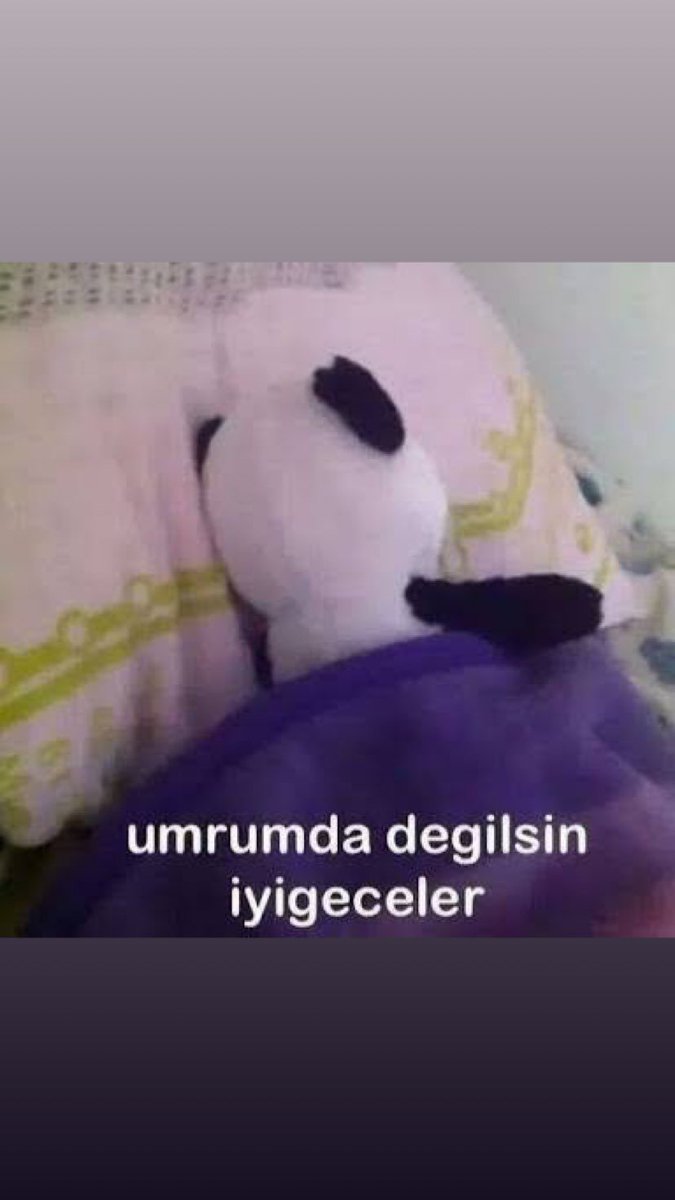 ❤💛ASLANİÇE MEHTAP❤💛 (@mehtapyildiz06) on Twitter photo 