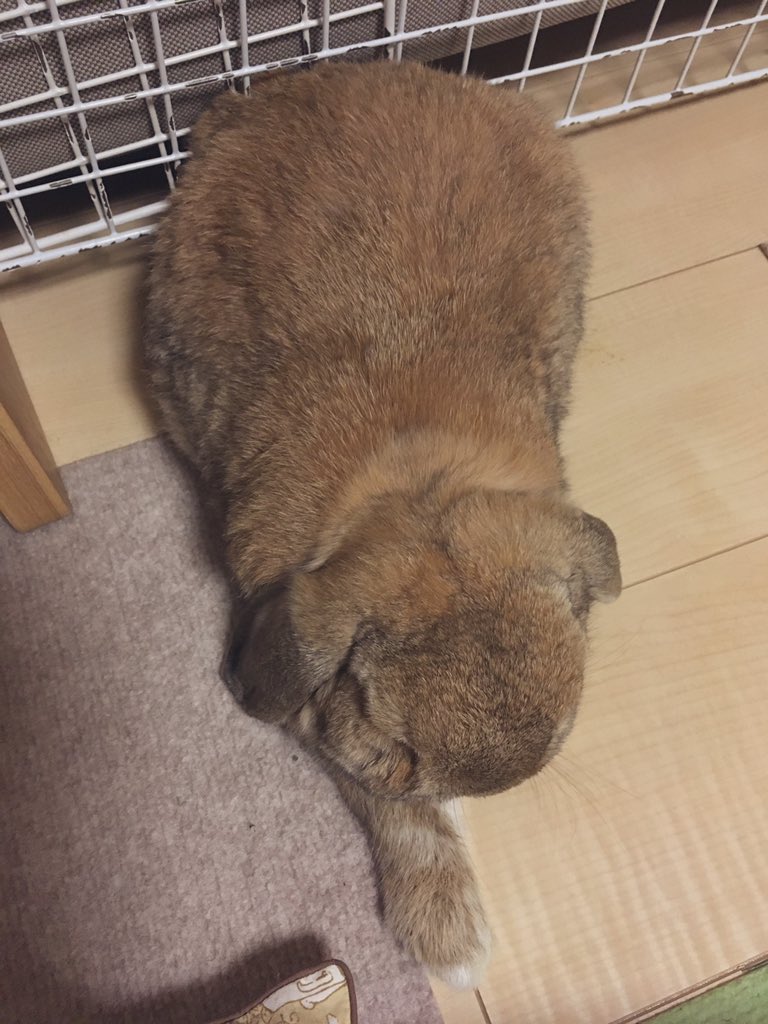 気持ちいい場所