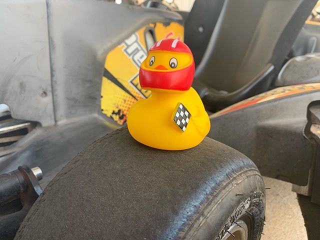 DuckRace 06 tweet media