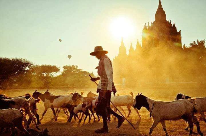 MyanmarAmazing's tweet photo. Recently Our Wonderful Bagan named UNESCO World Heritage Site! Come &amp; Visit Myanmar before the rush! #MyanmarTourism #AmazingMyanmar #SagaciousMyanmar #VisitMyanmar @MyanmarTM @MyanmarTourismM @MyanmarAgent @mandalayguide @taximandalay https://t.co/1KL75TE35P
