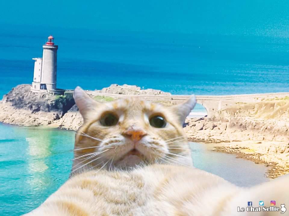 Un ptit coucou de mes vacances en #Bretagne au phare du 'Petit Minou' 😹