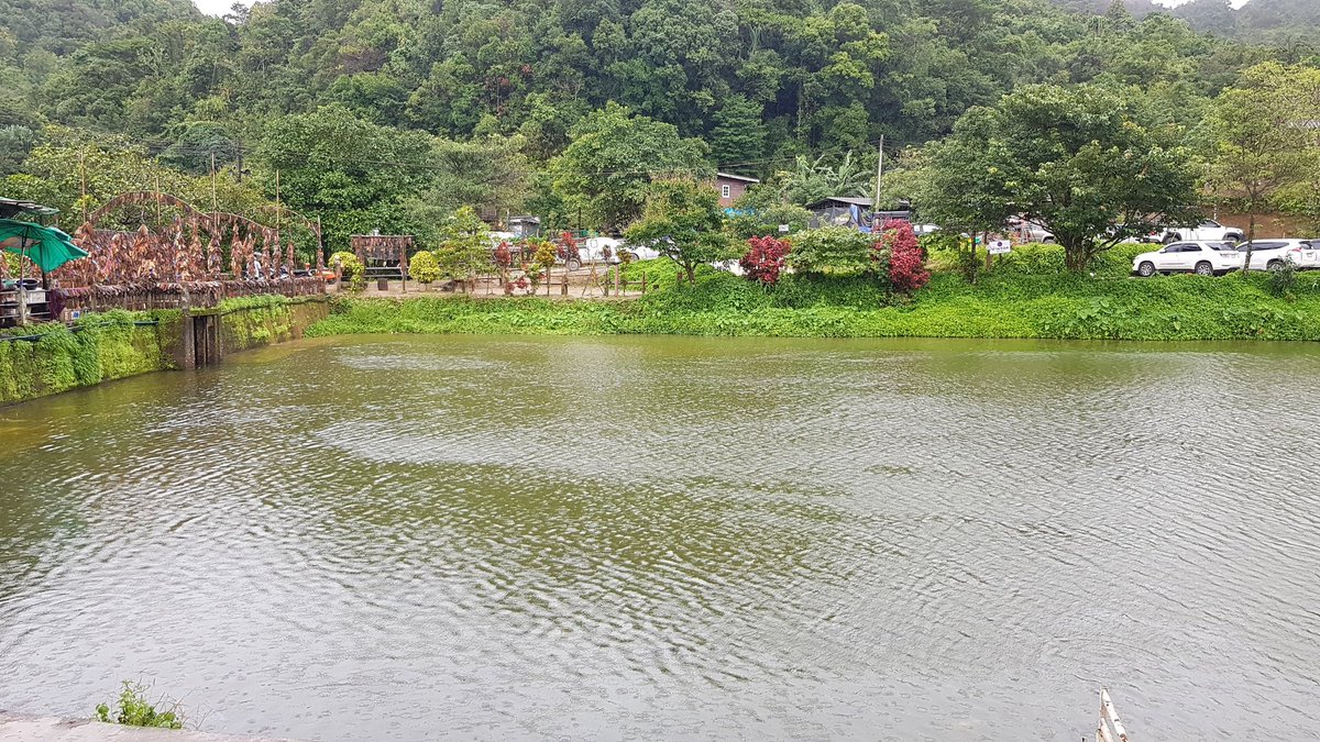 birdpwa1's tweet photo. ที่นี่มีฝน https://t.co/egL033MFki