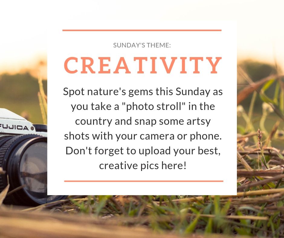 #Sunday. Day 7 of the 7 Day Great Outdoors Challenge 🍄
#nature #creativity #personalgrowth