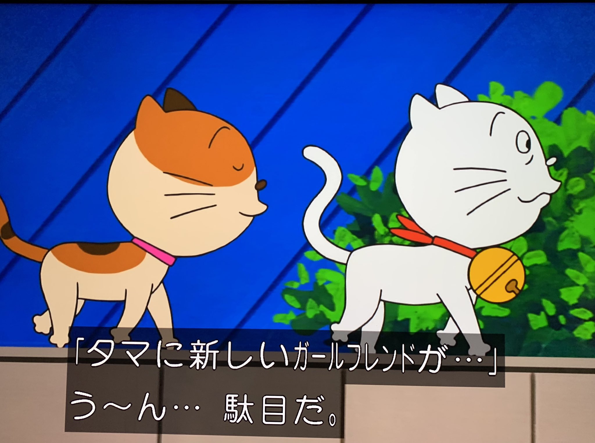 ヒカリ サザエさん タマ 中々のプレイボーイ振りやな