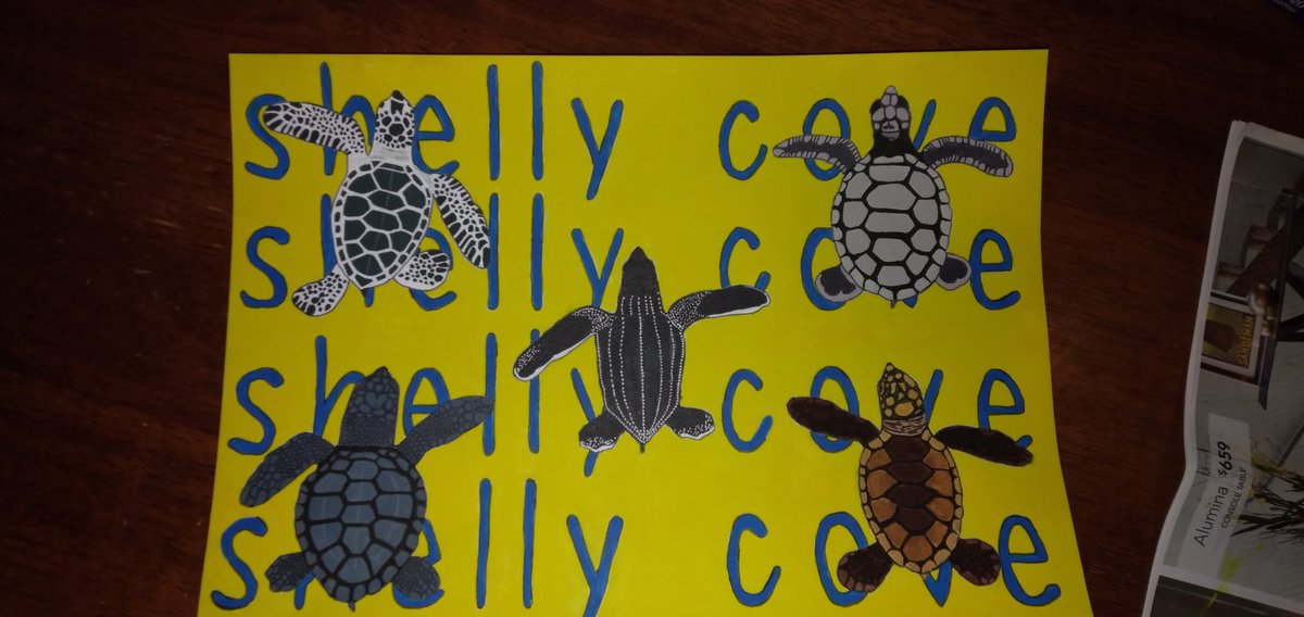 Jesssart1's tweet photo. I've finally completed the baby turtles with @ShopShellyCove  in the back ground 🐢🐢 https://t.co/k6OQW6oKkB